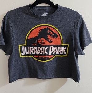 Cropped Gray Jurassic Park Graphic Tee Shirt - Size Women's Medium